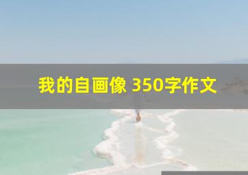 我的自画像 350字作文